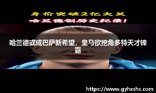 星空·综合体育官方网站