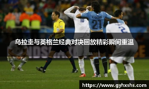 星空综合官网
