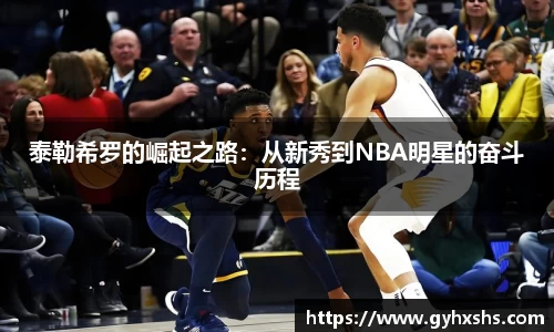 星空综合